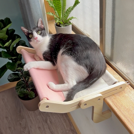 多功能木質貓吊床
